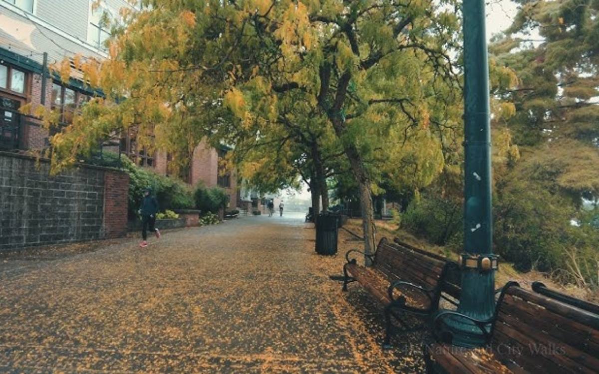 portland weather